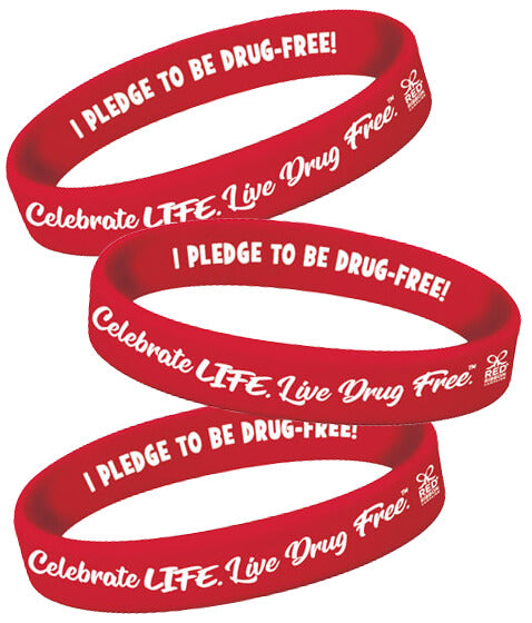 One School, One Goal: Bully & Drug Free 2-Sided Silicone Awareness Bracelets - Pack of 25 Red Ribbon Week Supplies